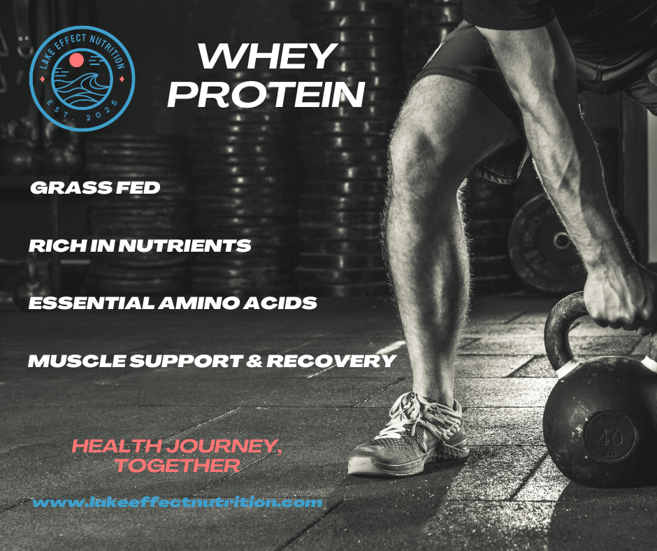 Whey Protein Powder Dutch Chocolate