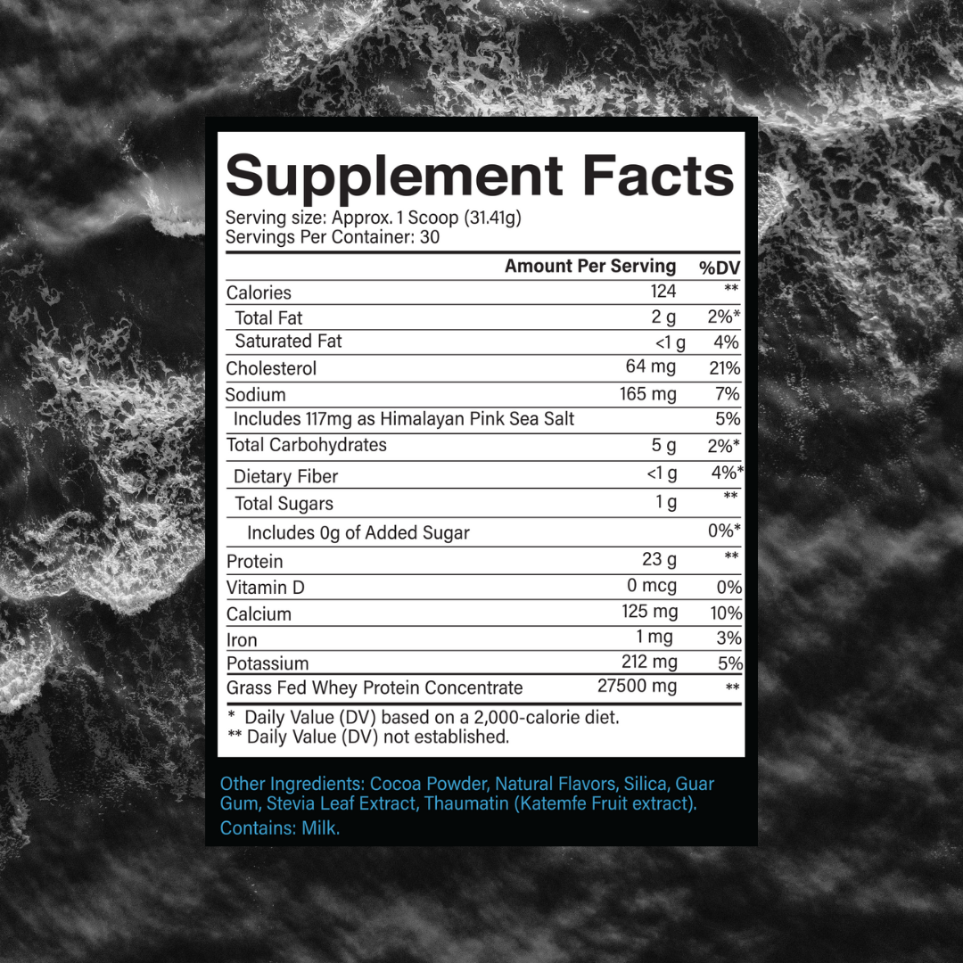 Whey Protein Powder Dutch Chocolate